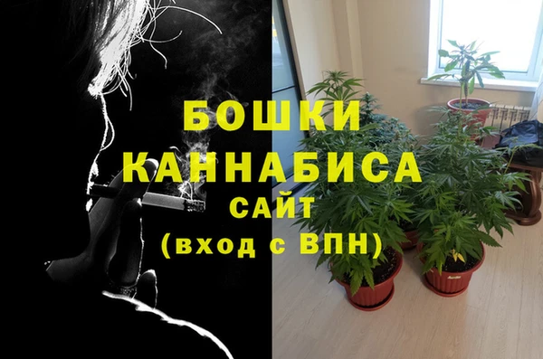 МДПВ Аркадак