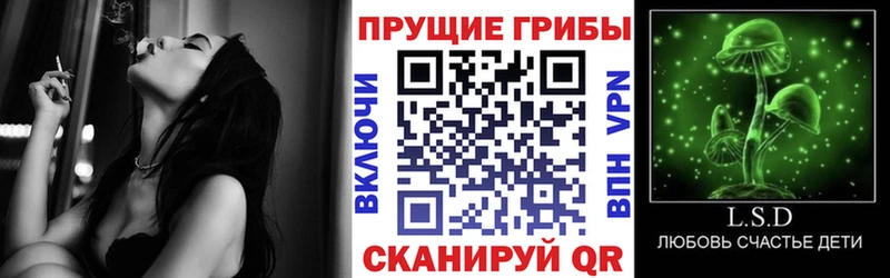 Галлюциногенные грибы Psilocybe  кракен   Рыбное 